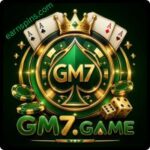 GM7 Game