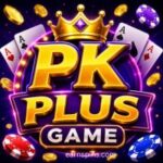 PKPLUS Game