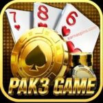 PAK3 Game Guide