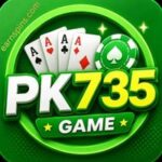 PK735 Game